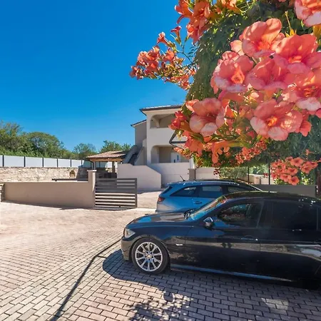 Casa Olivia 펜션 Kaštelir